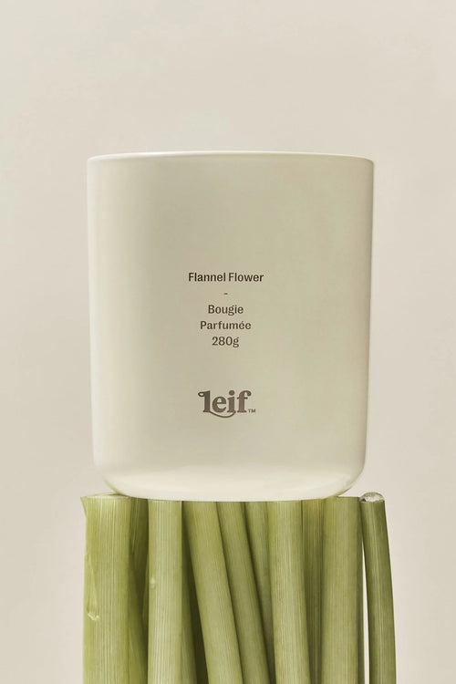 Flannel Flower Candle