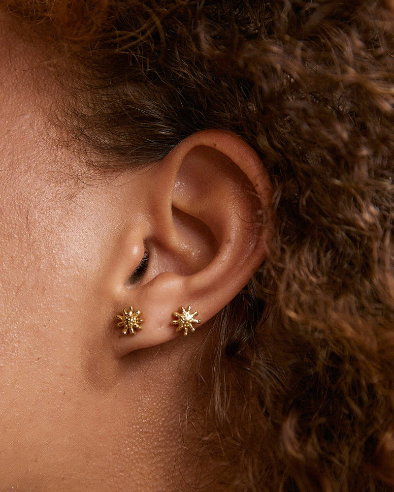 Magnolia Gold Studs