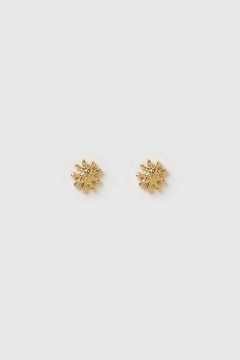 Magnolia Gold Studs
