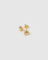 Magnolia Gold Studs