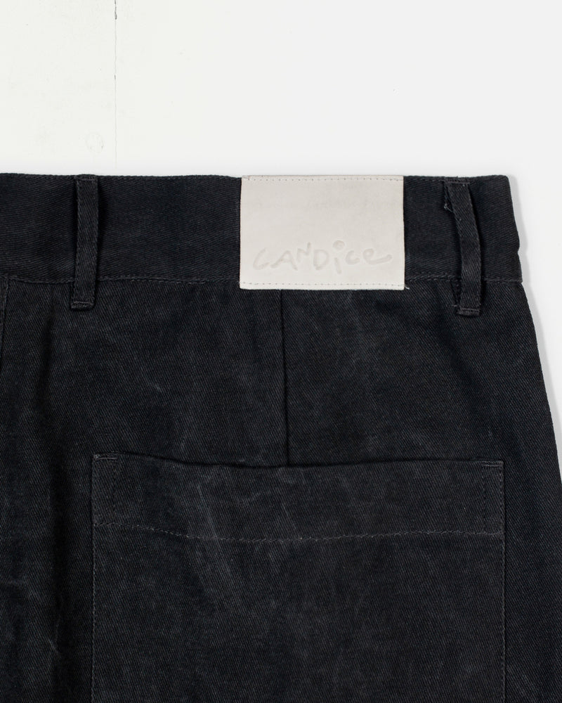 Distant Washed Pleated Pant