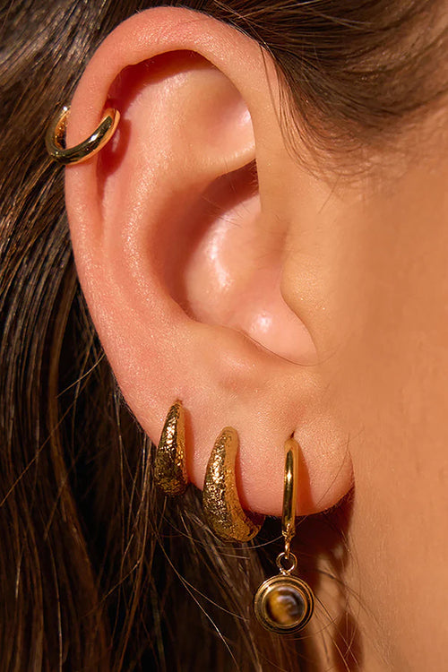 Asher Earrings Tiger's Eye