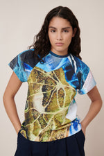 Monarch Top  Monarch