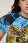 Monarch Top  Monarch